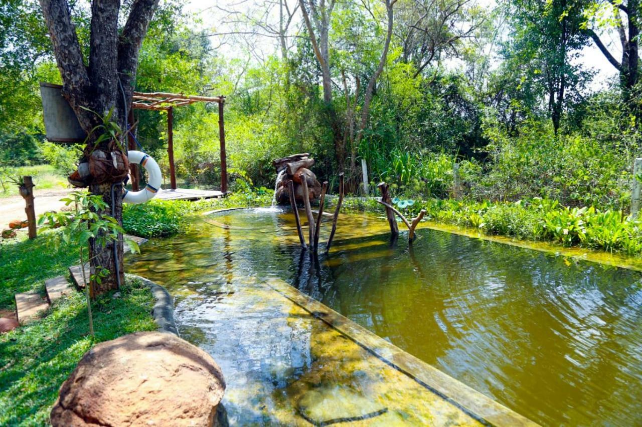 The Ibis - Wilpattu Villa Puttalam Eksteriør billede