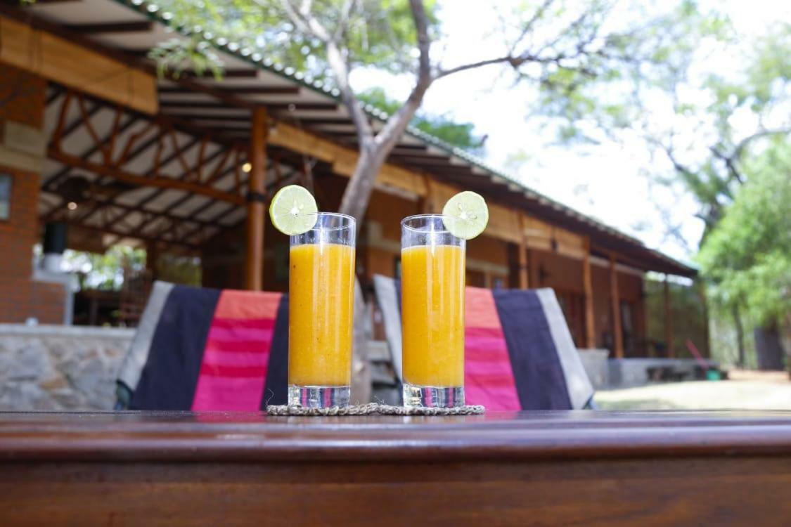 The Ibis - Wilpattu Villa Puttalam Eksteriør billede